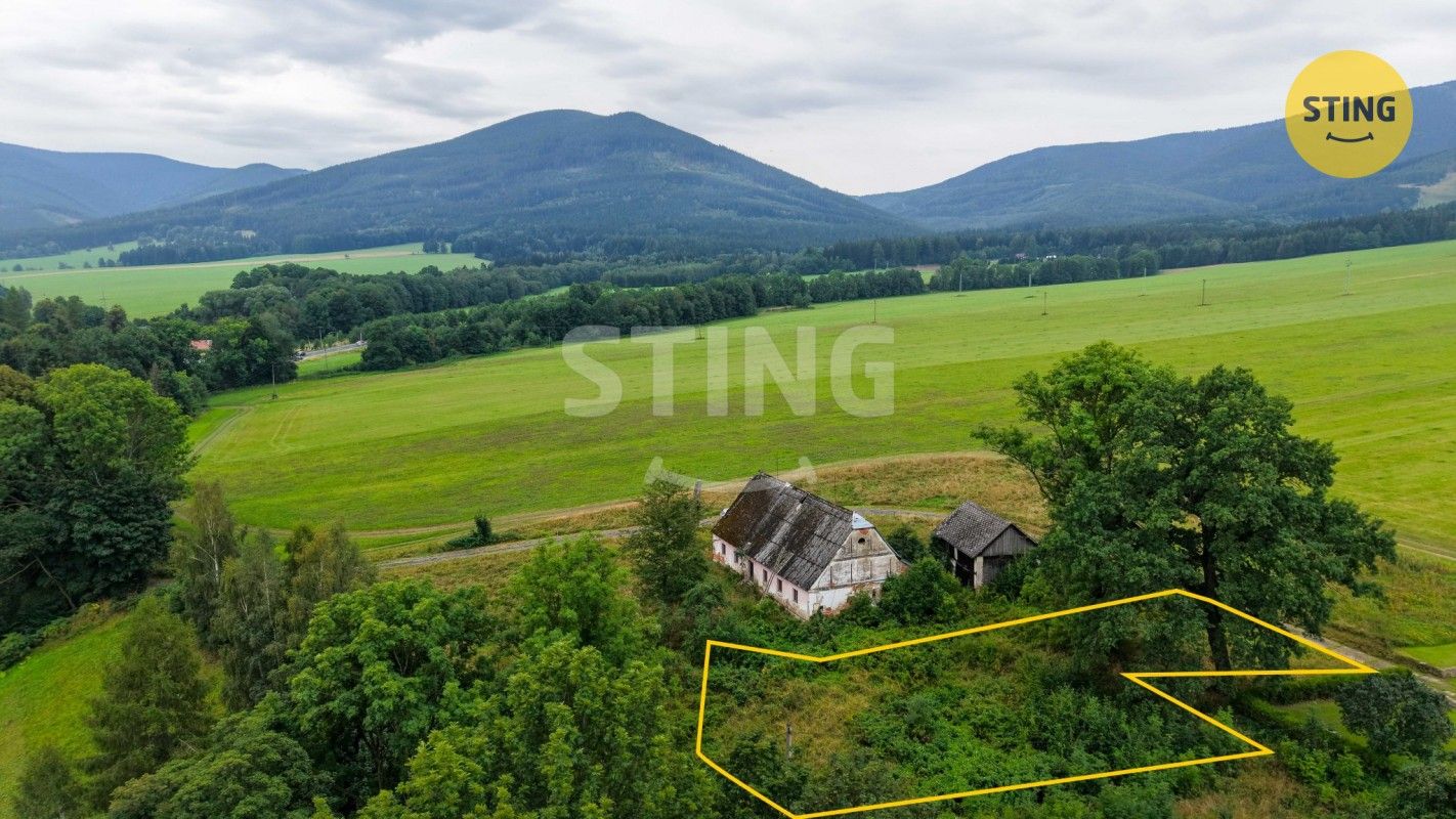 Pozemek pro bydlení · 1 246 m² · Bělá pod Pradědem Domašov - 4