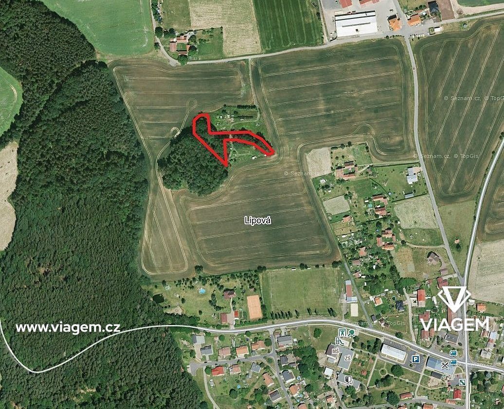 Les · Lipová, okres Cheb, Karlovarský kraj - 1