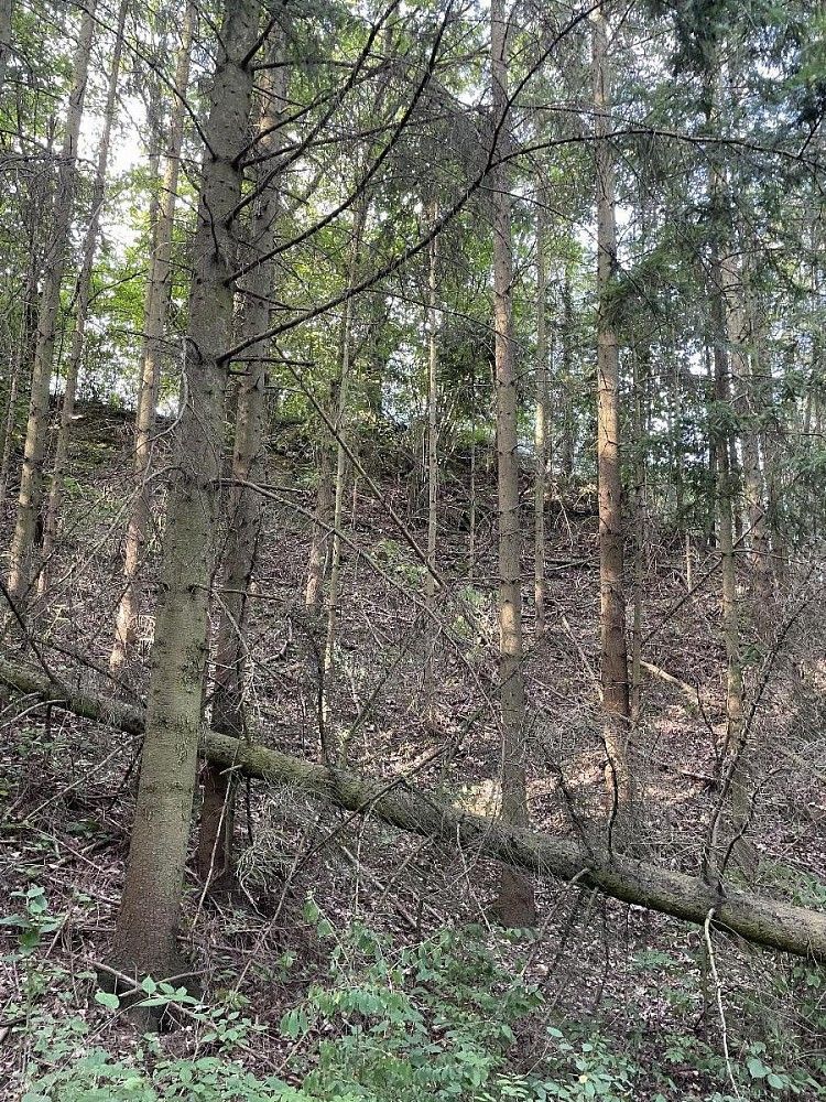 Prodej pozemek - Útěchov - Čivice, okres Svitavy, Pardubický kraj - 2
