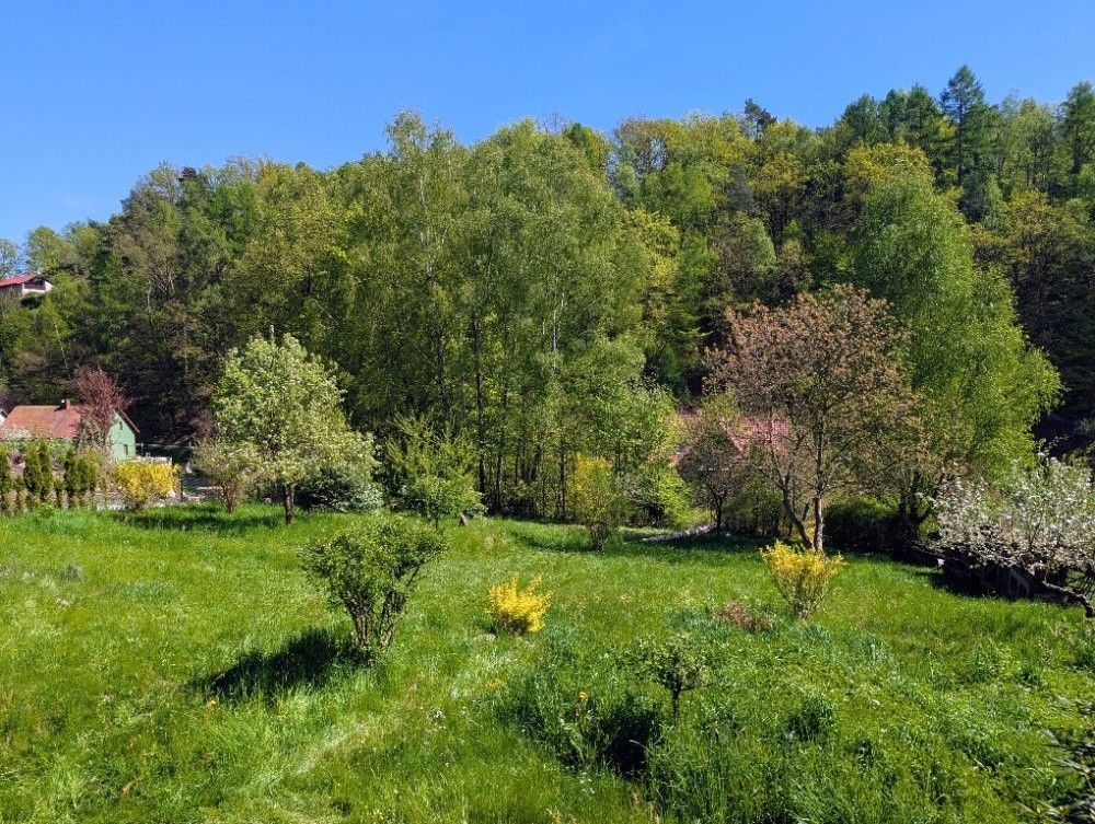 Pozemky pro bydlení, Ludvíkovice, 407 13