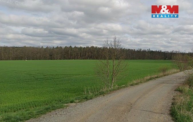 Prodej les - Plzeň - Bukovec, okres Plzeň-město, Plzeňský kraj - 5