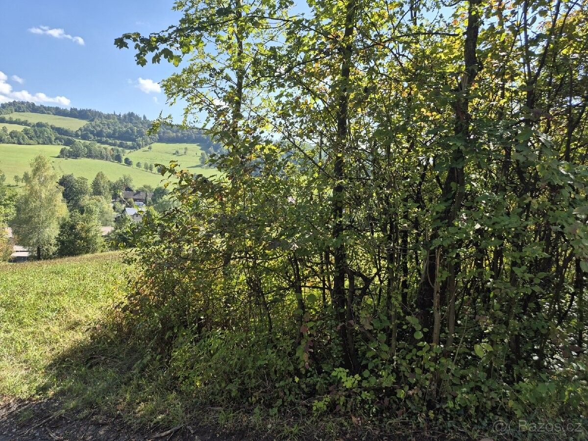 Zahrada · Vendryně, 739 94 - 4