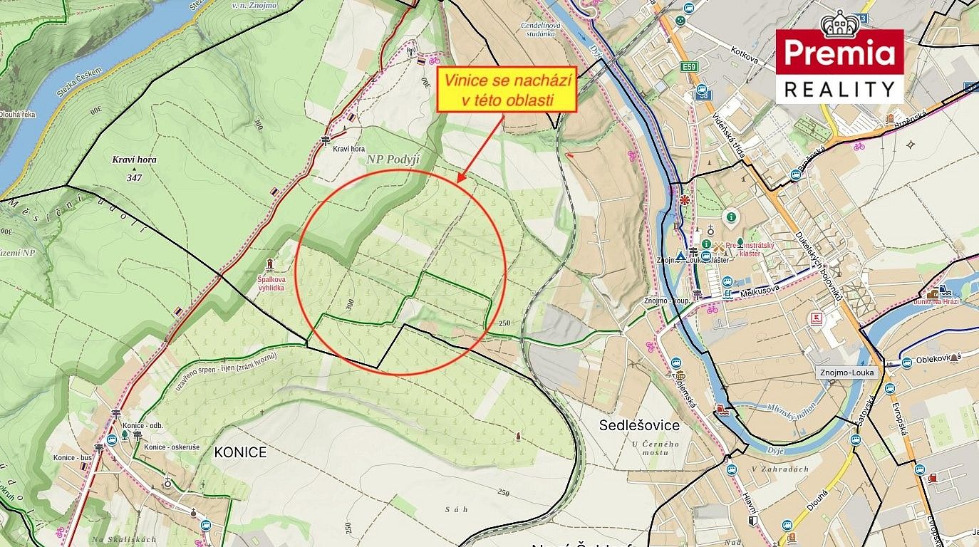 Zemědělský pozemek · Nový Šaldorf-Sedlešovice, okres Znojmo, Jihomoravský kraj - 3