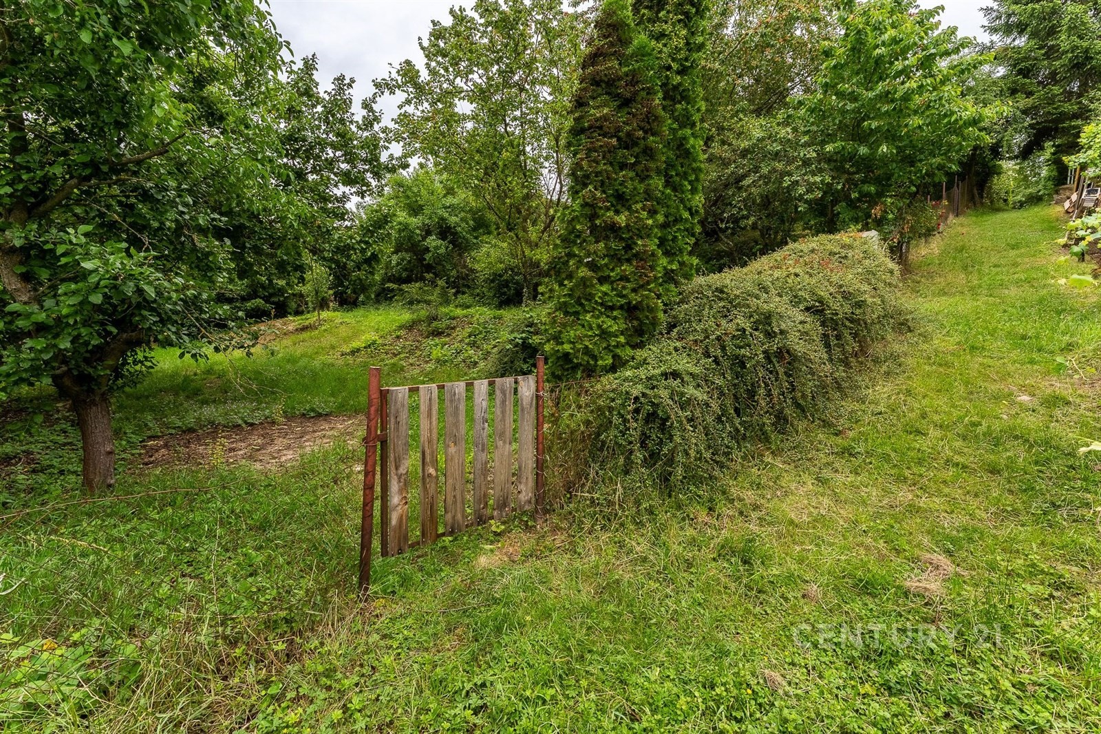 Zahrada · Horoměřice - 3