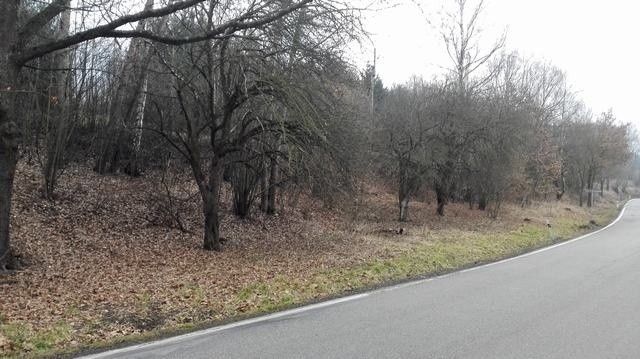 Prodej pozemek pro bydlení - Světlá nad Sázavou, 582 91 - 5