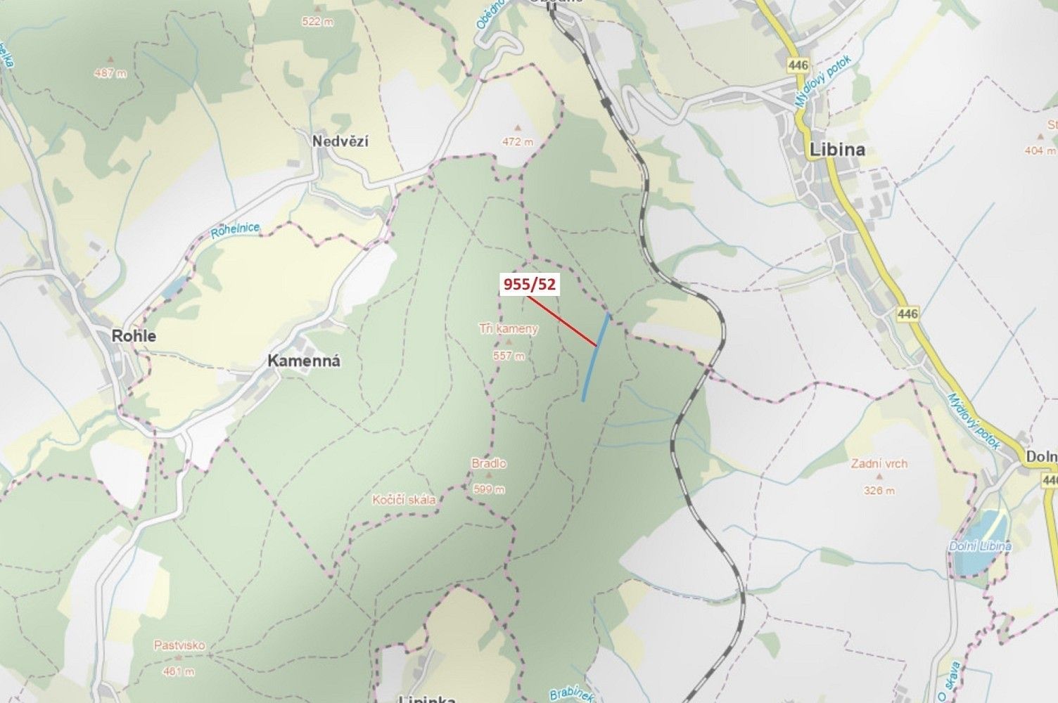 Les · Libina, okres Šumperk, Olomoucký kraj - 1