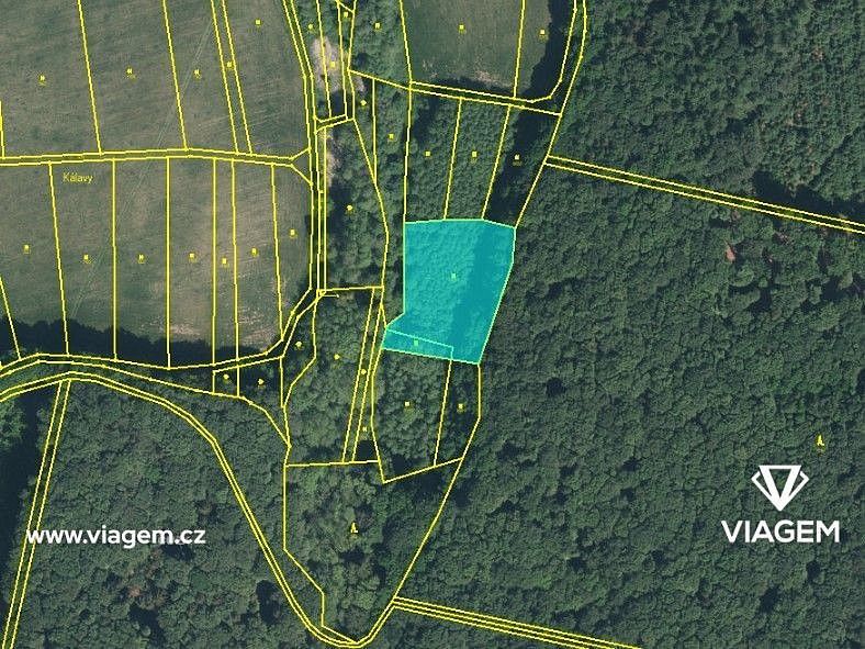 Les · Žlutava, okres Zlín, Zlínský kraj - 3