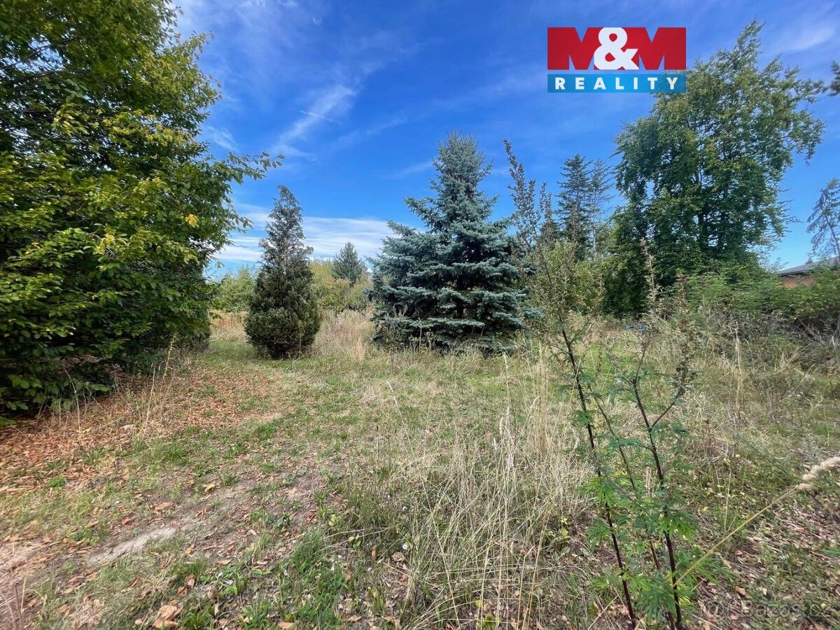 Pozemky pro bydlení, Bořanovice, 250 65