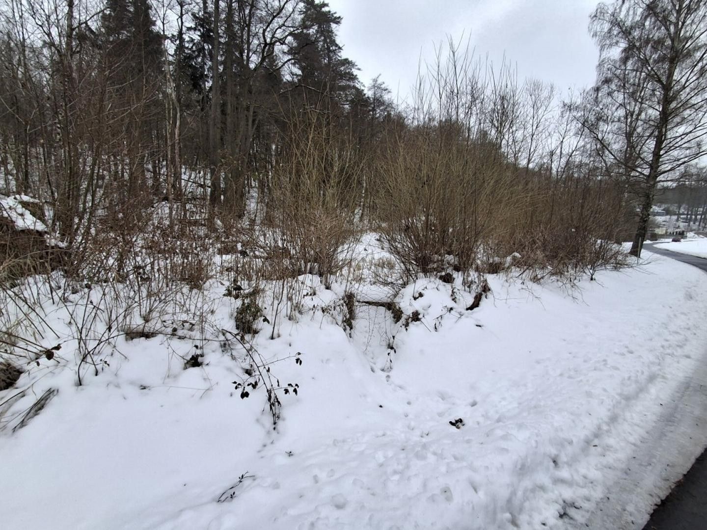 Prodej pozemek - Odrava Mostov - 5