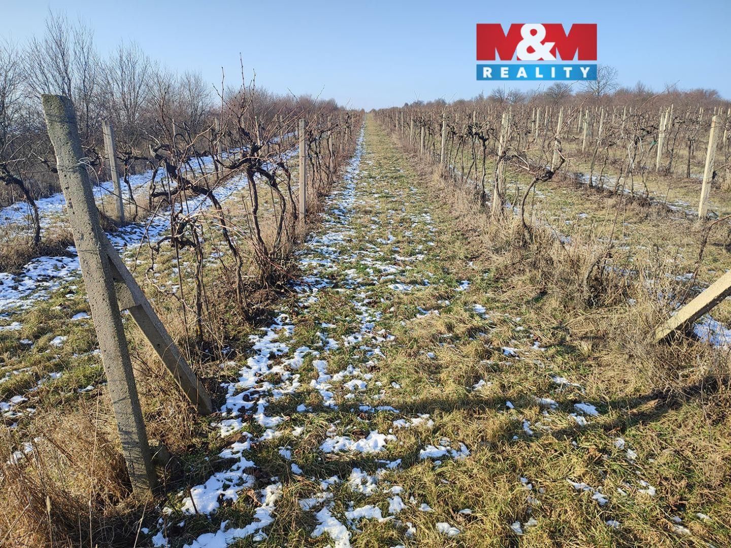 Zemědělské pozemky, Morkůvky