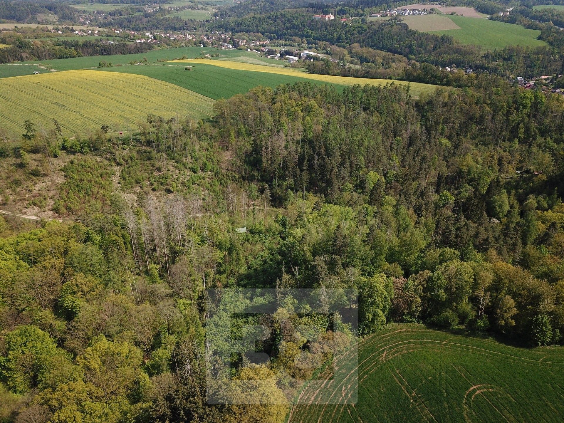 Prodej les - Chocerady