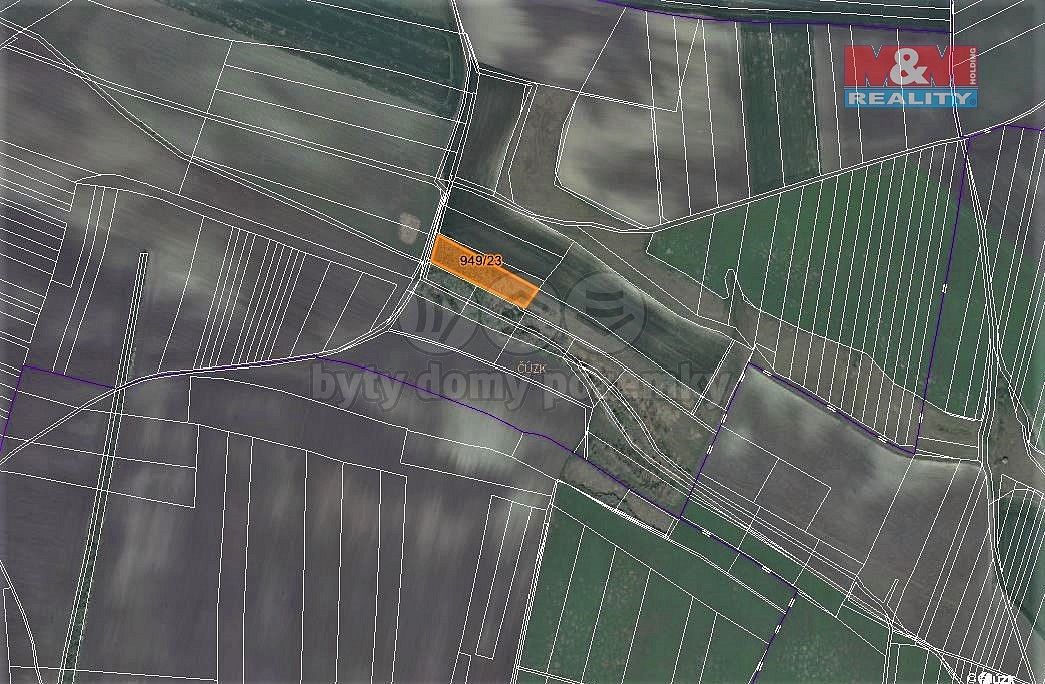 Les · Koštice, okres Louny, Ústecký kraj - 3