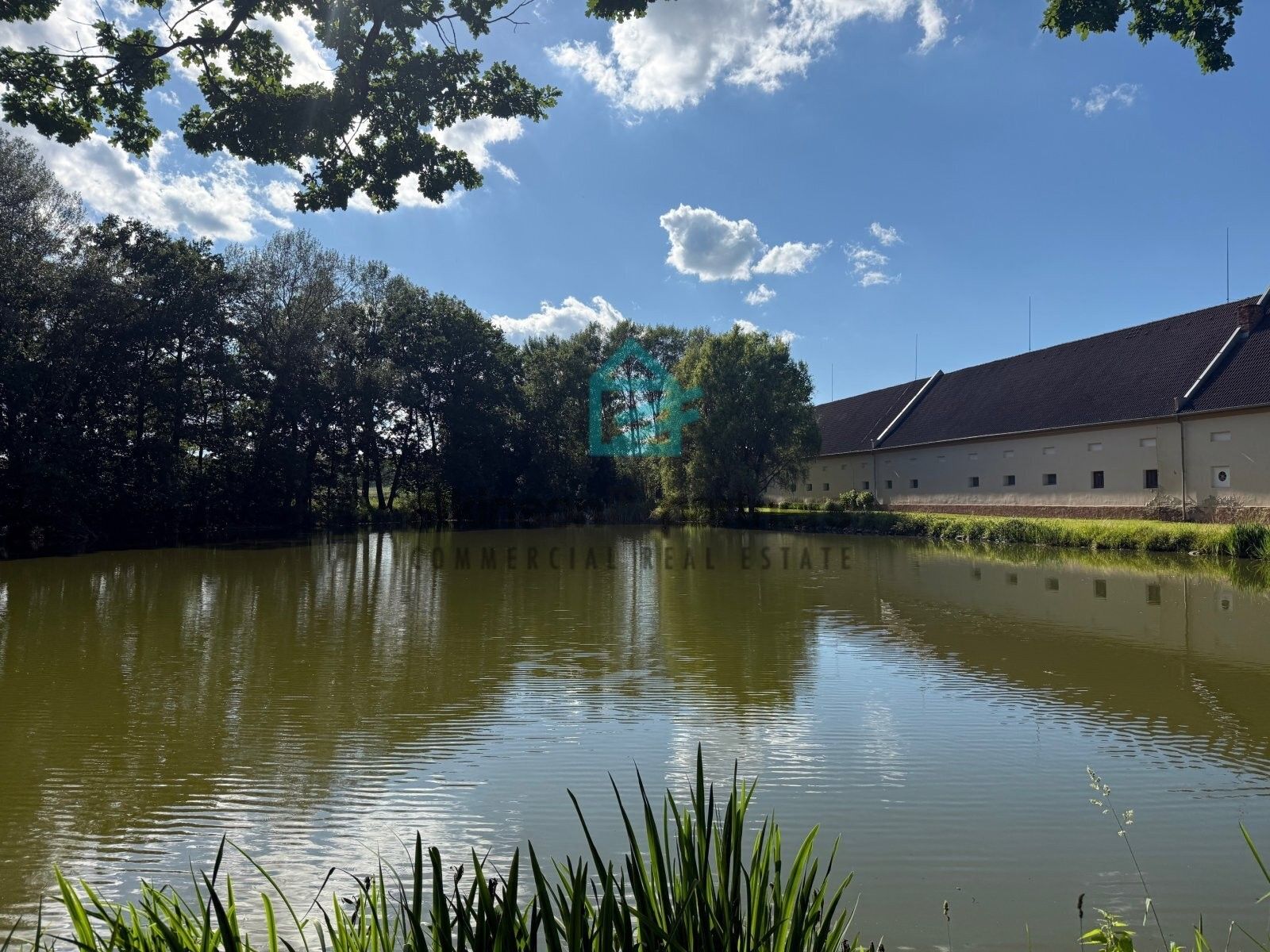 Zemědělská usedlost · 1 600 m² · Břehov - 4