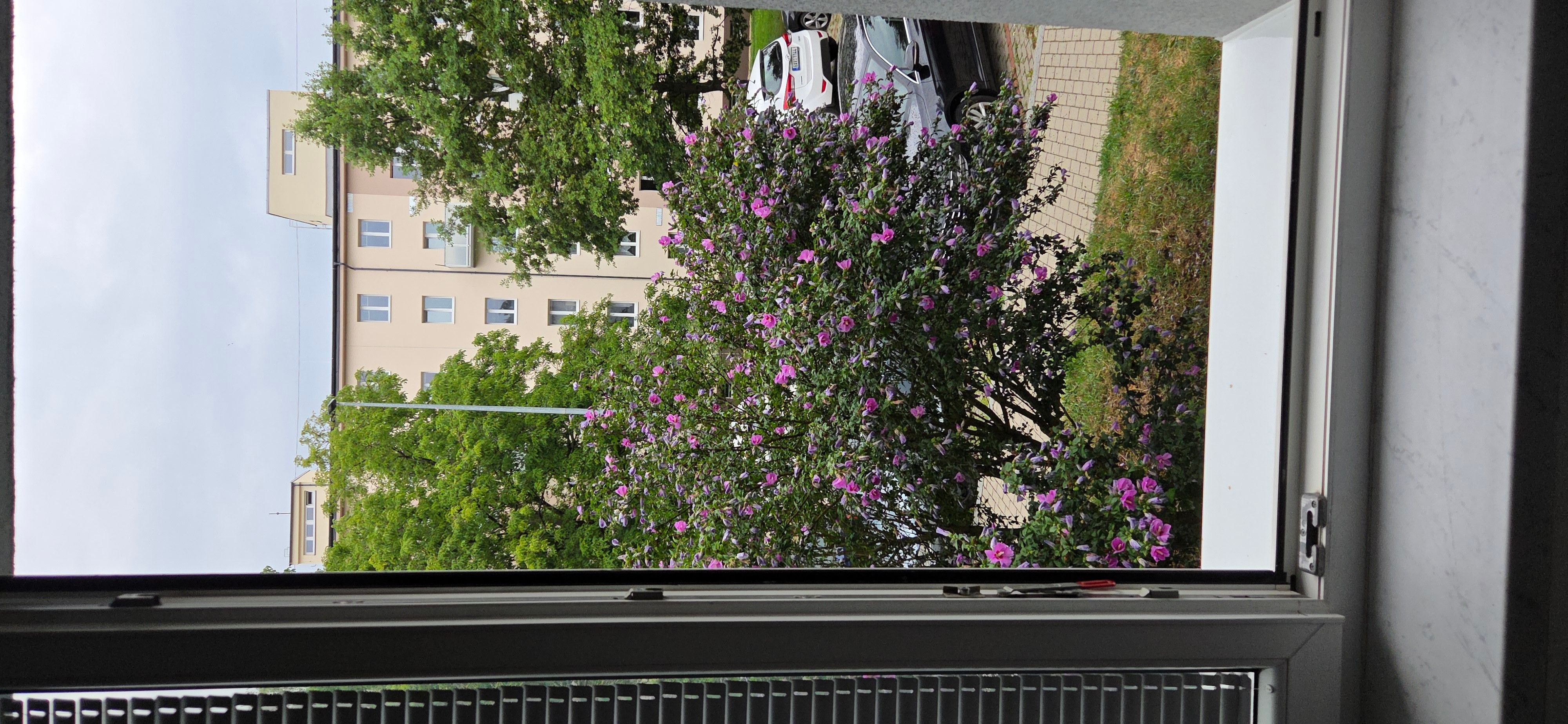 Pronájem byt 1+kk - Zelenečská, Praha, 24 m²