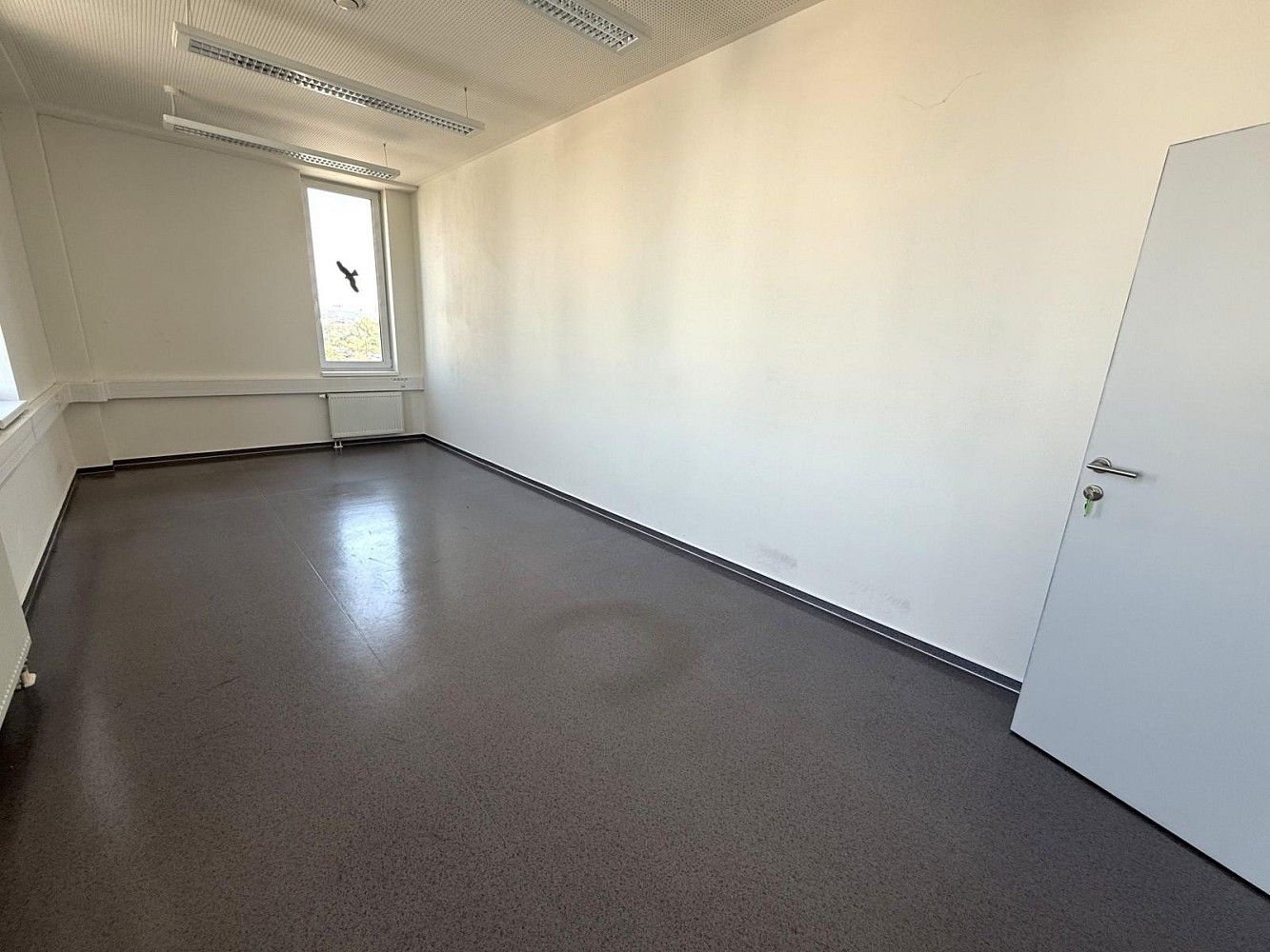Pronájem kancelář - Brno - Štýřice, okres Brno-město, Jihomoravský kraj, 23 m² - 5