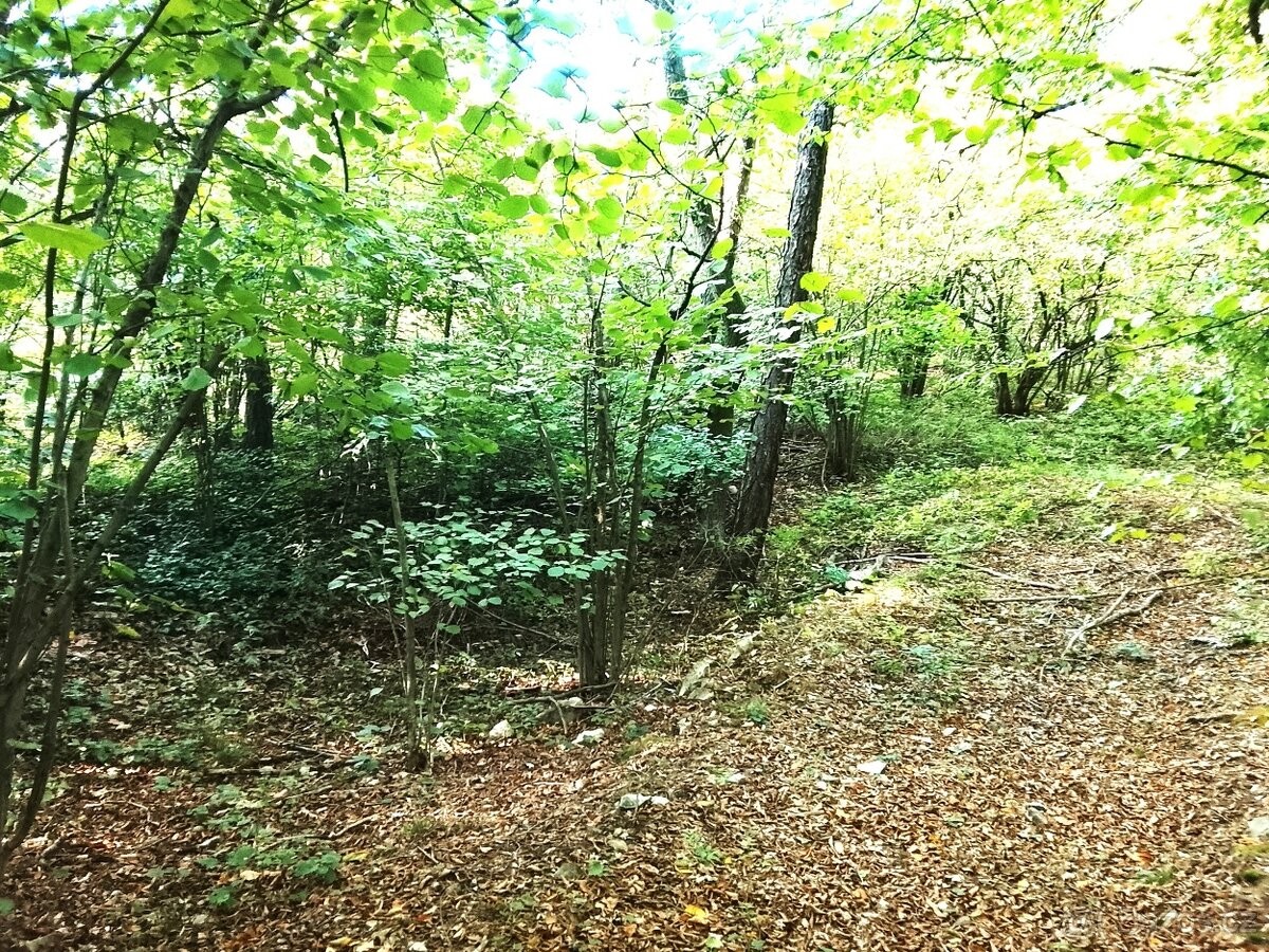 Pozemek pro bydlení · Louny, 440 01 - 4