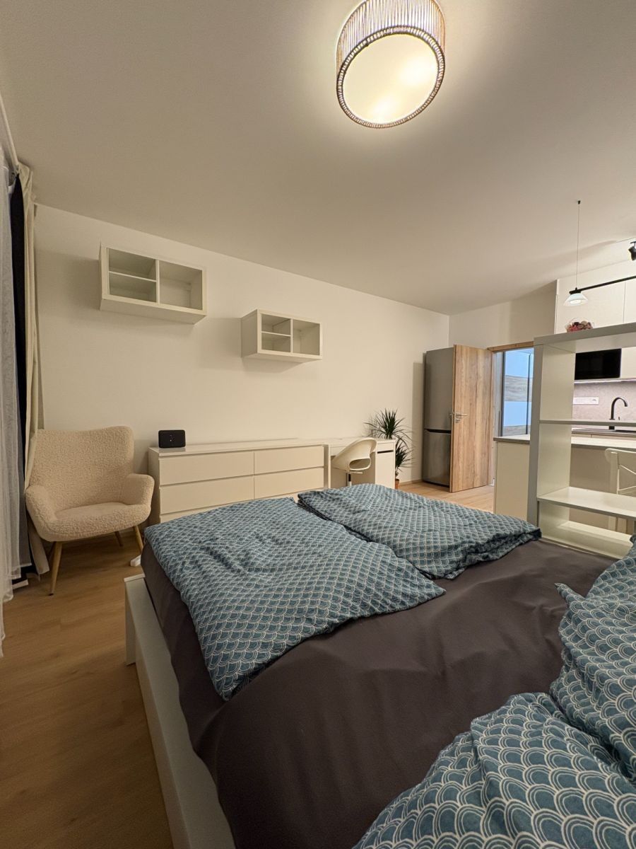 Byt 1+kk · 31 m² · Železná, Plzeň - Plzeň, Plzeňský kraj - 4