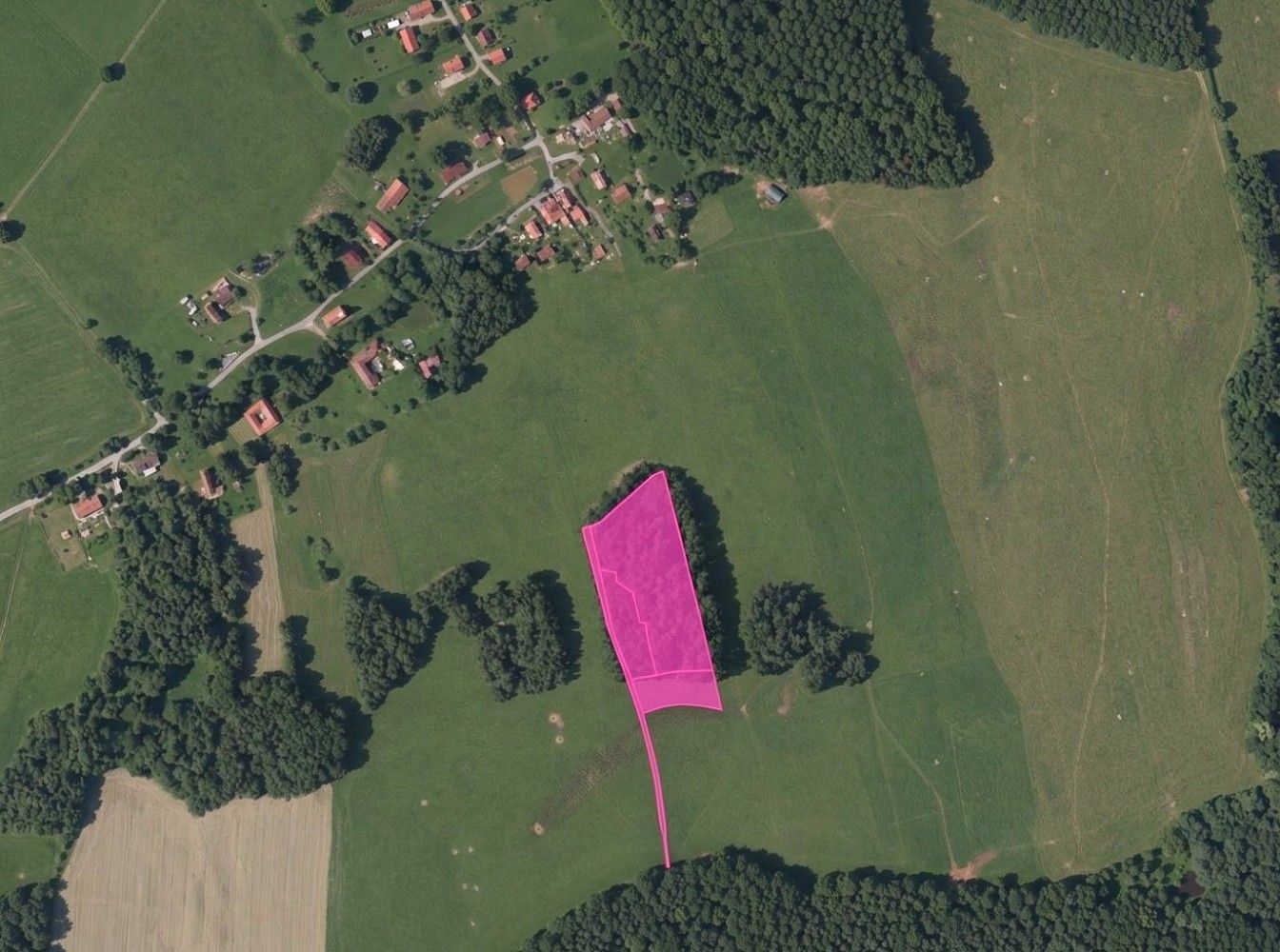 Lesy, Benešov nad Černou - Hartunkov, okres Český Krumlov - 1