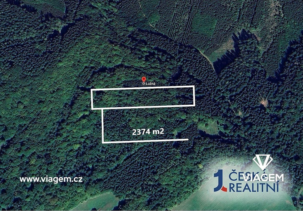 Prodej les - Lužná, okres Vsetín, Zlínský kraj - 1