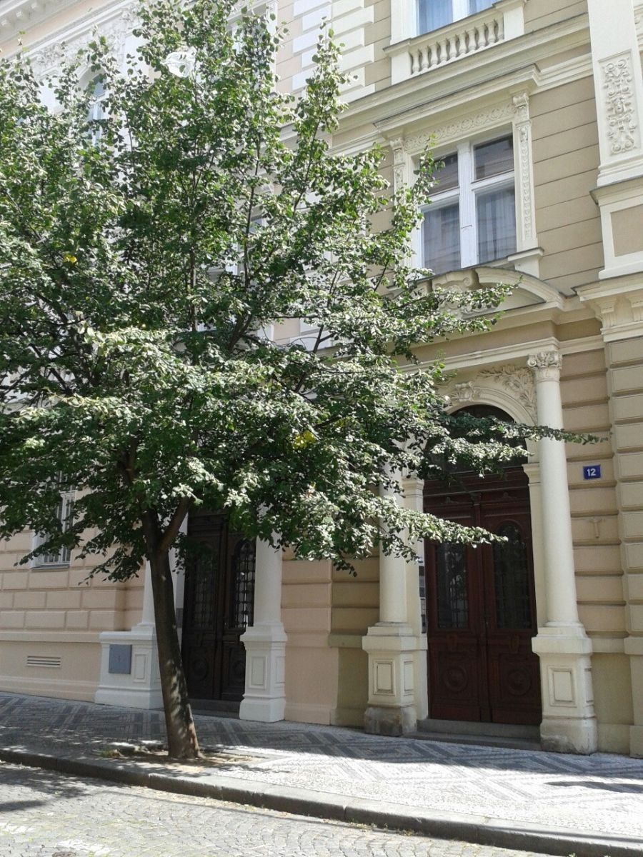 2+kk, Jana Masaryka, Praha - Vinohrady, 60 m² - 1