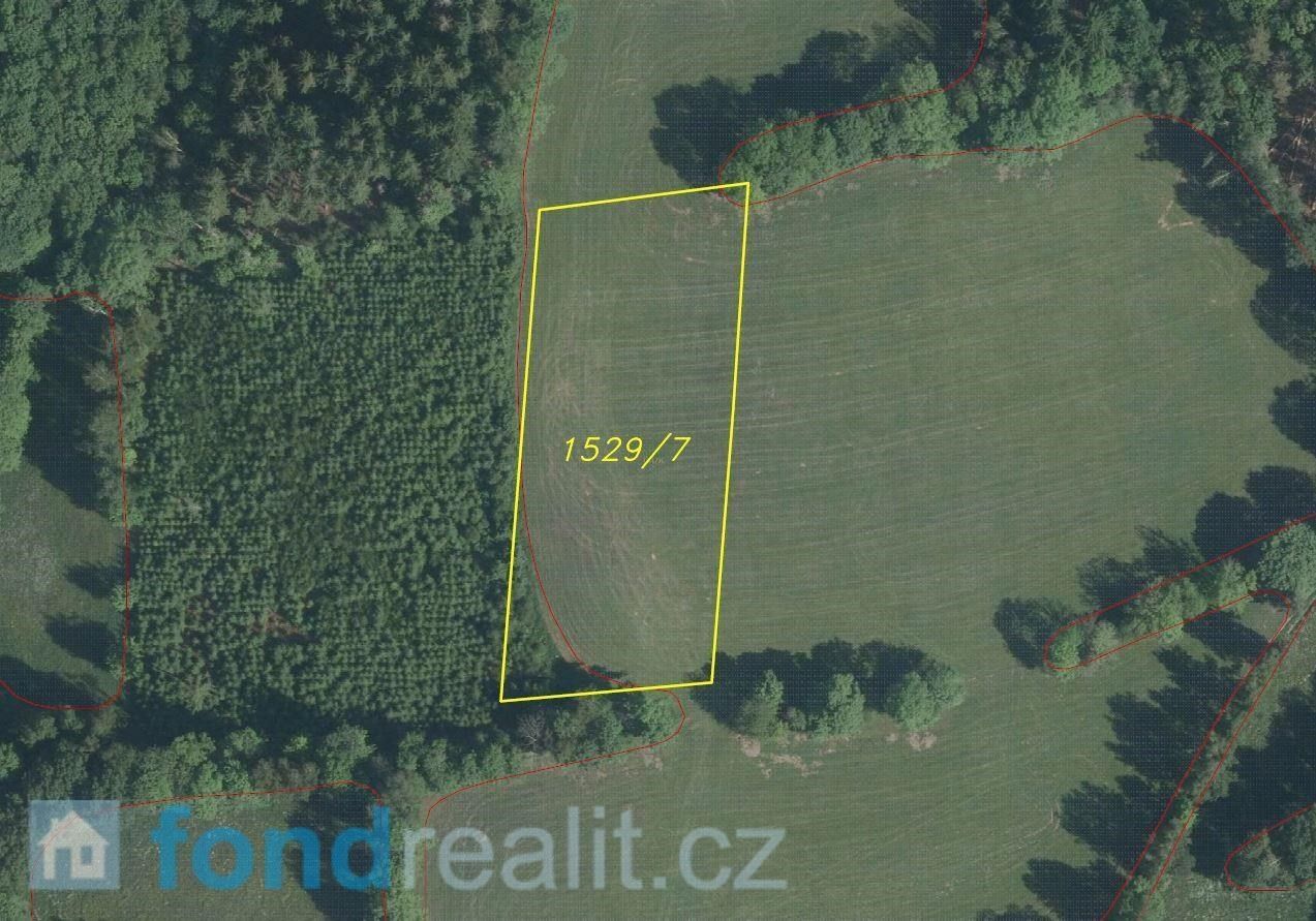 Prodej pozemek - Česko, 16 868 m²