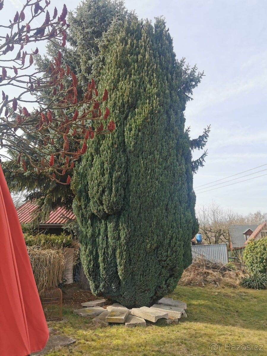 Zahrady, Cheb, 350 02