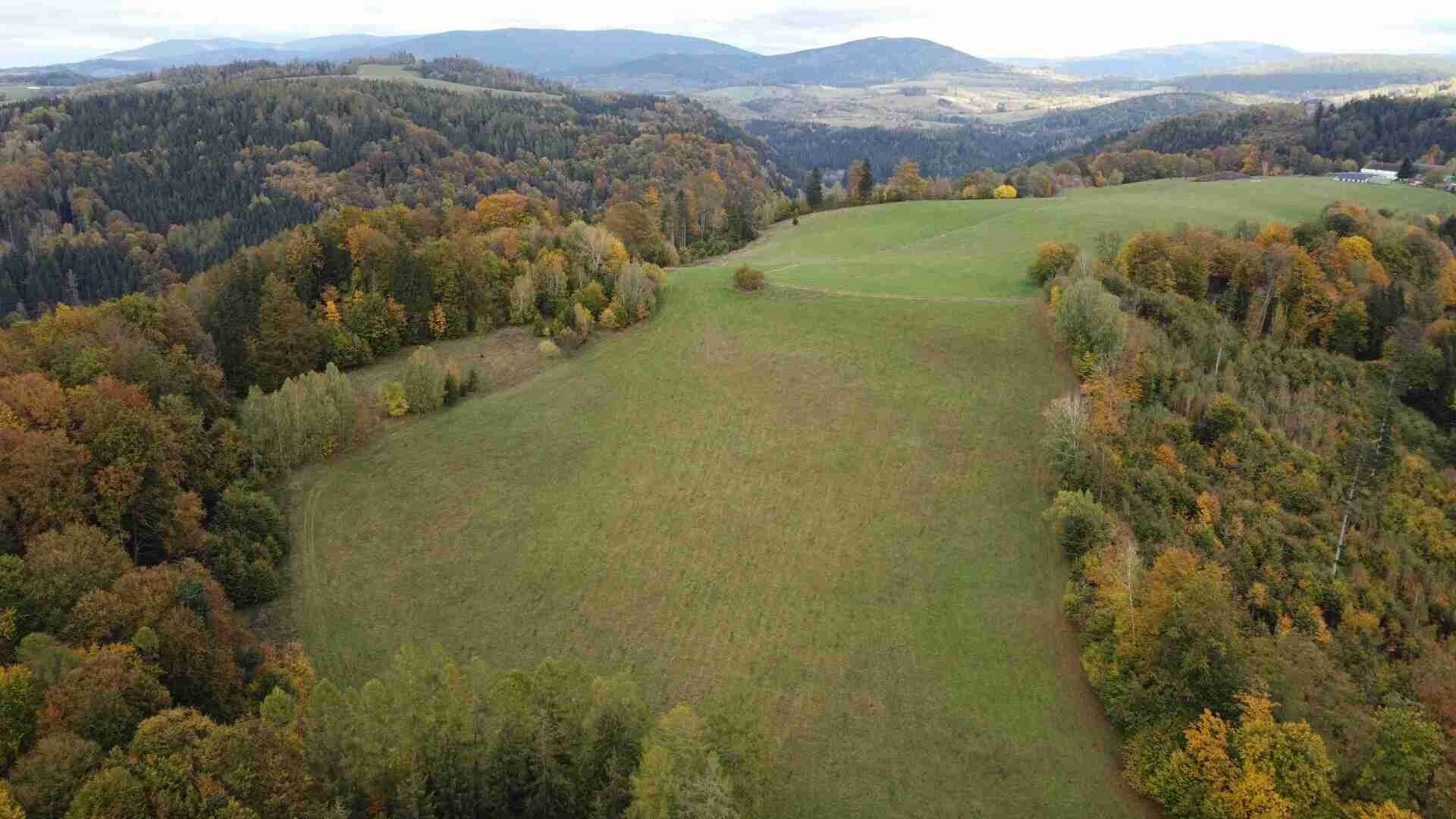 Zemědělský pozemek · 53 256 m² · Hanušovice Hynčice nad Moravou - 3