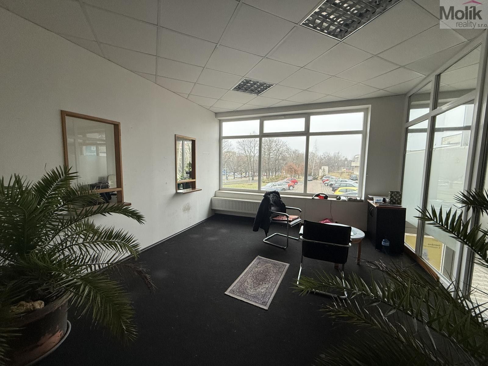 Obchodní prostory, Moskevská, Most, 41 m²