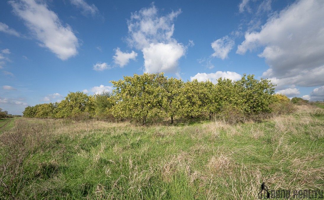 Pozemek · Hustopeče, okres Břeclav, Jihomoravský kraj - 4