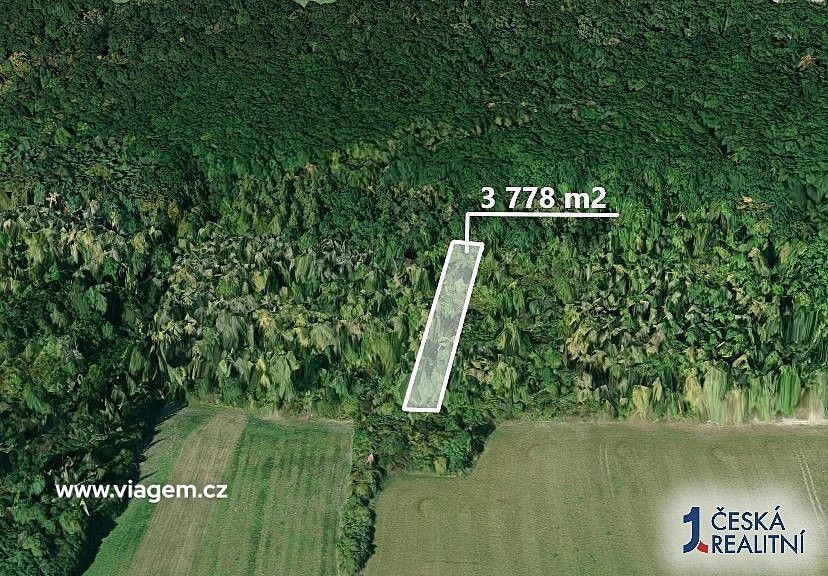 Prodej les - Dobrovice, okres Mladá Boleslav, Středočeský kraj - 2