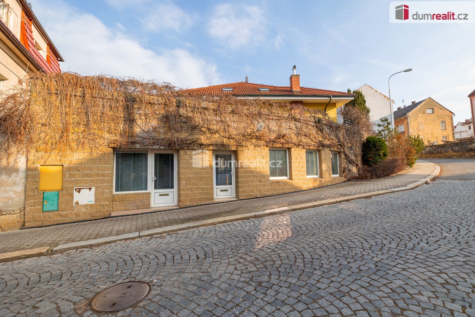 Obchodní prostory, Viničná, Mladá Boleslav, 107 m²