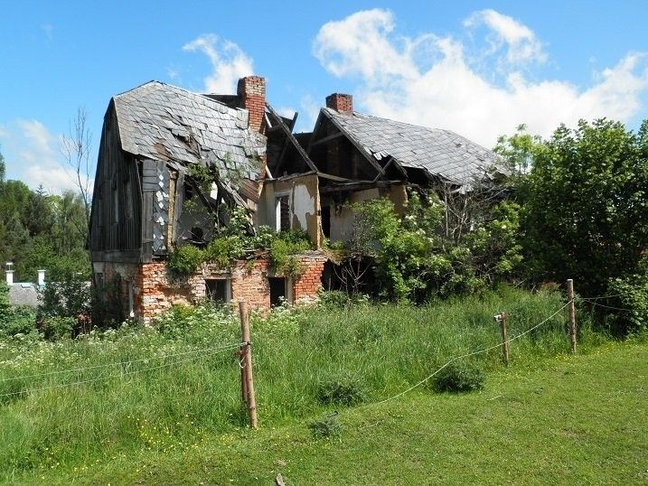 Prodej pozemek pro bydlení - Království, Šluknov, 2 313 m²