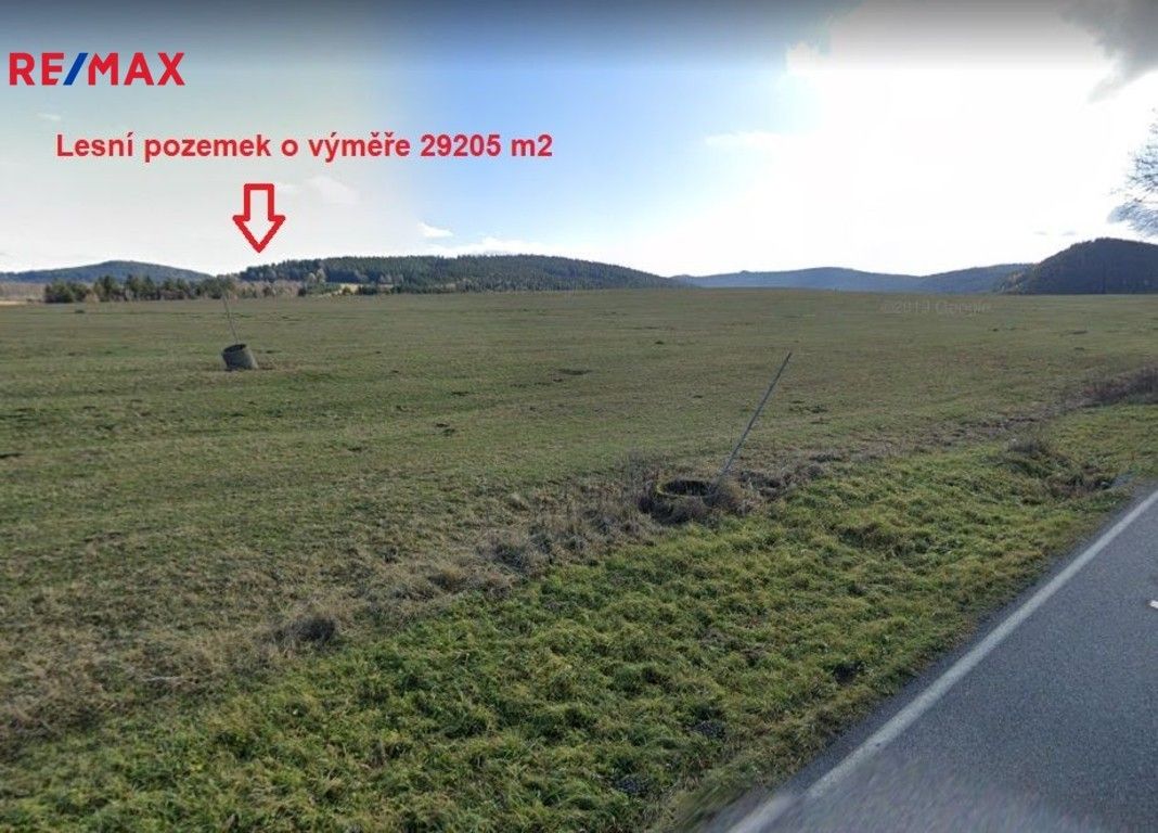 Prodej les - Borová Lada, 29 m²