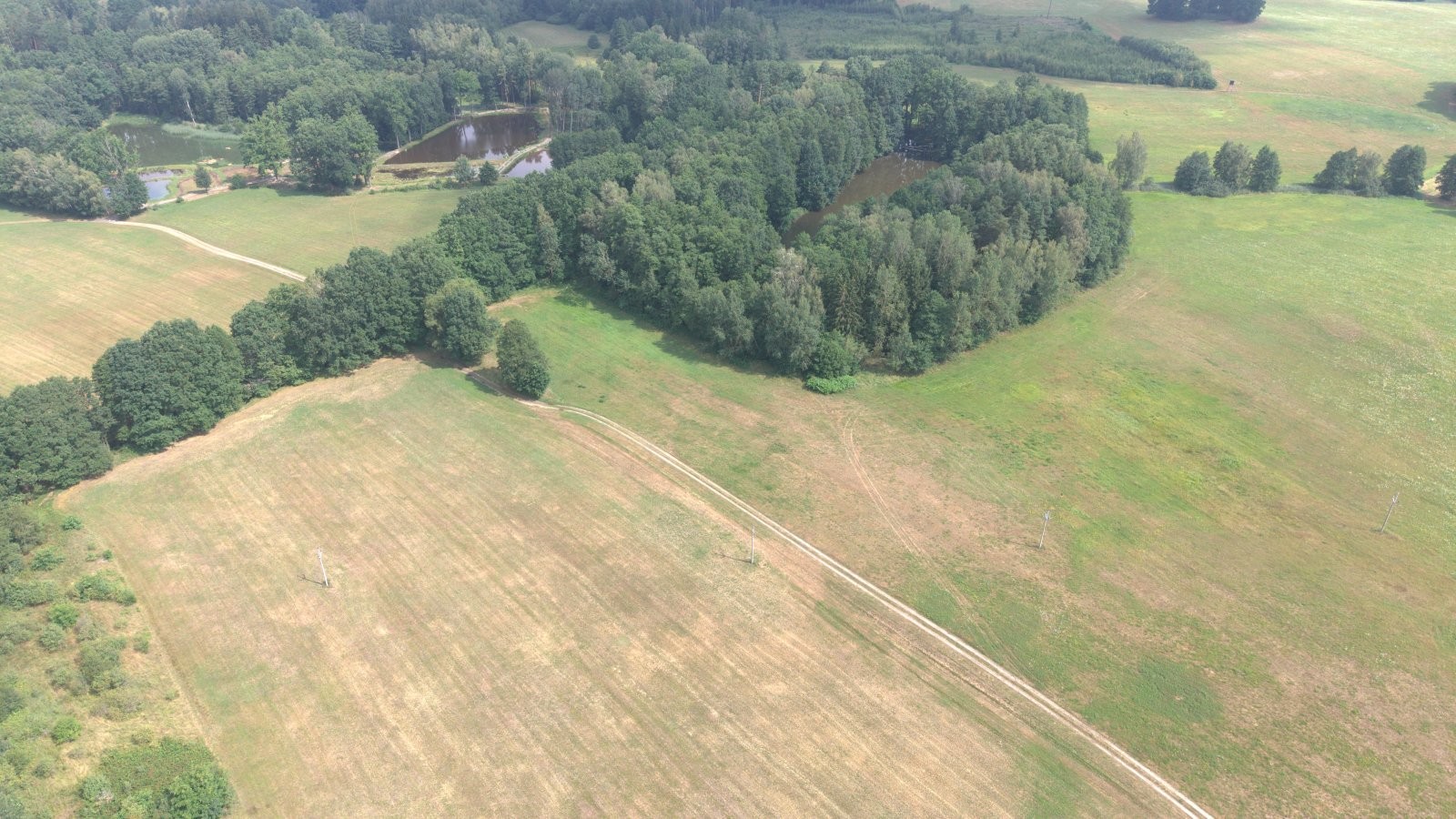 Louka · 360 000 m² · Chlum u Třeboně Žíteč - 3
