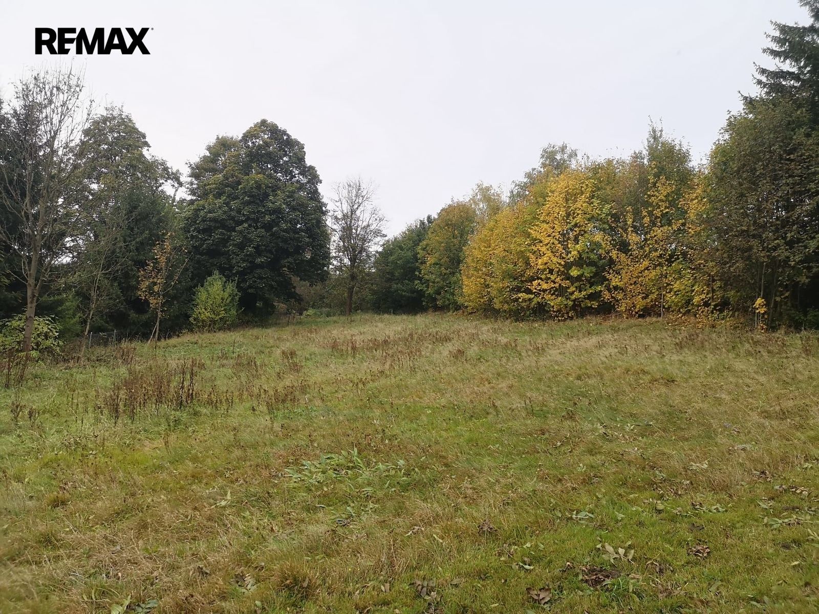 Pozemek pro bydlení · 1 683 m² · Jeřmanice - 3