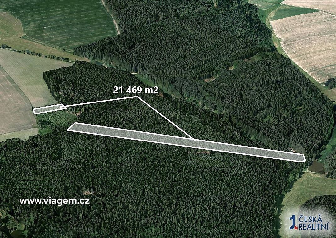 Lesy, Chrbonín, okres Tábor, Jihočeský kraj - 2