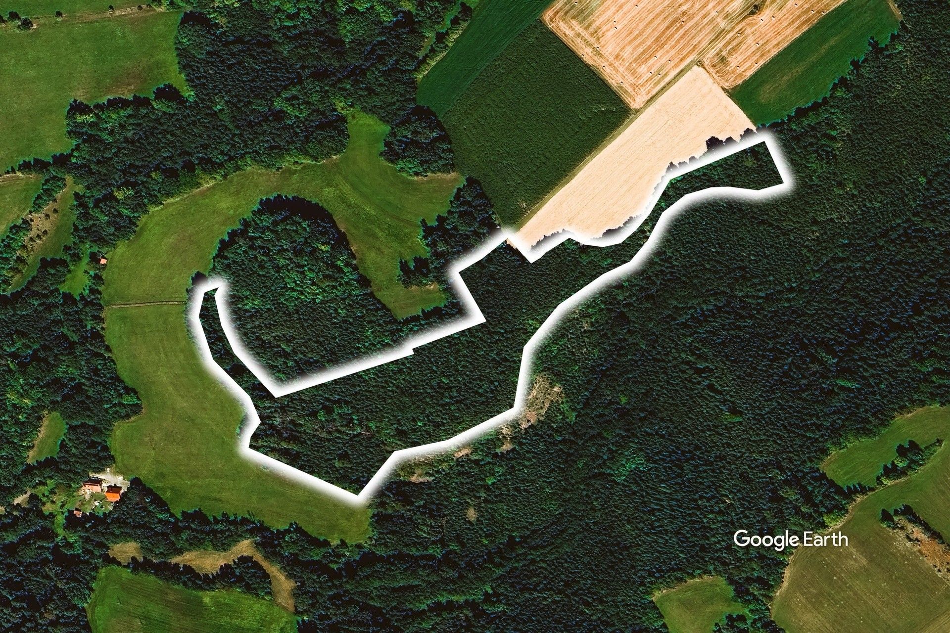 Lesy, Hlinné, Dobré