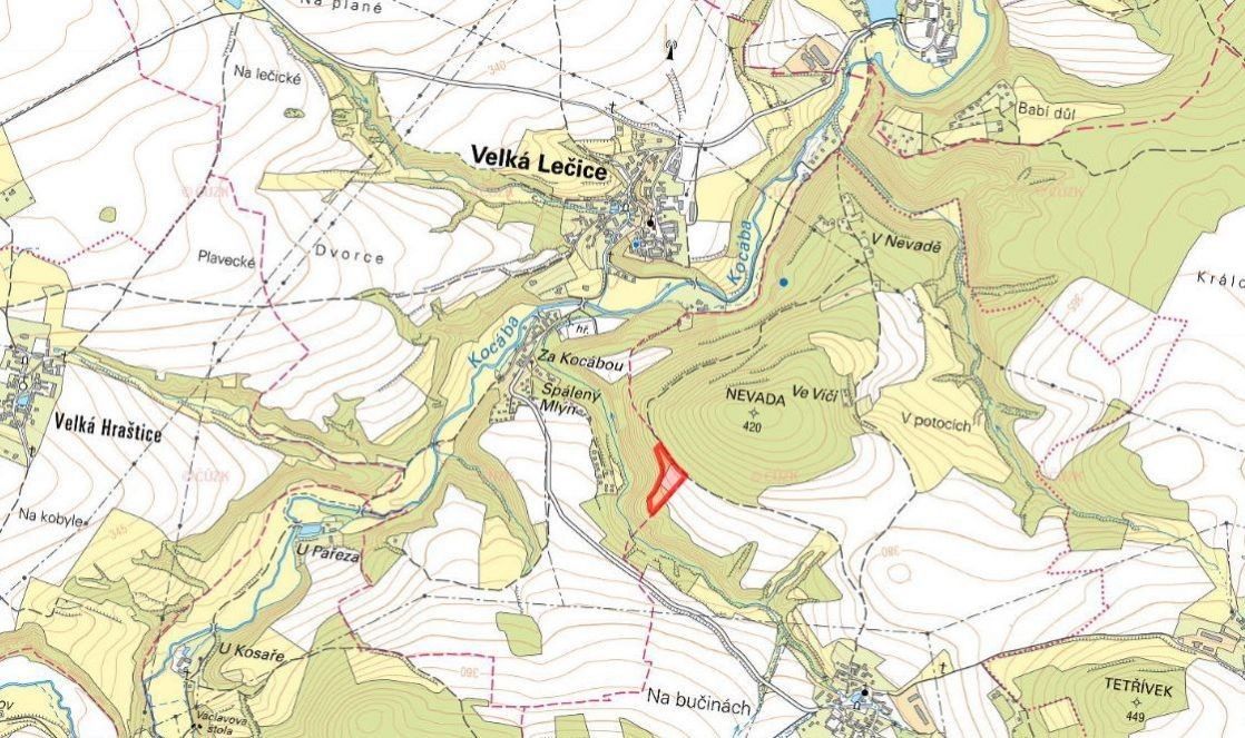 Prodej zemědělský pozemek - Velká Lečice