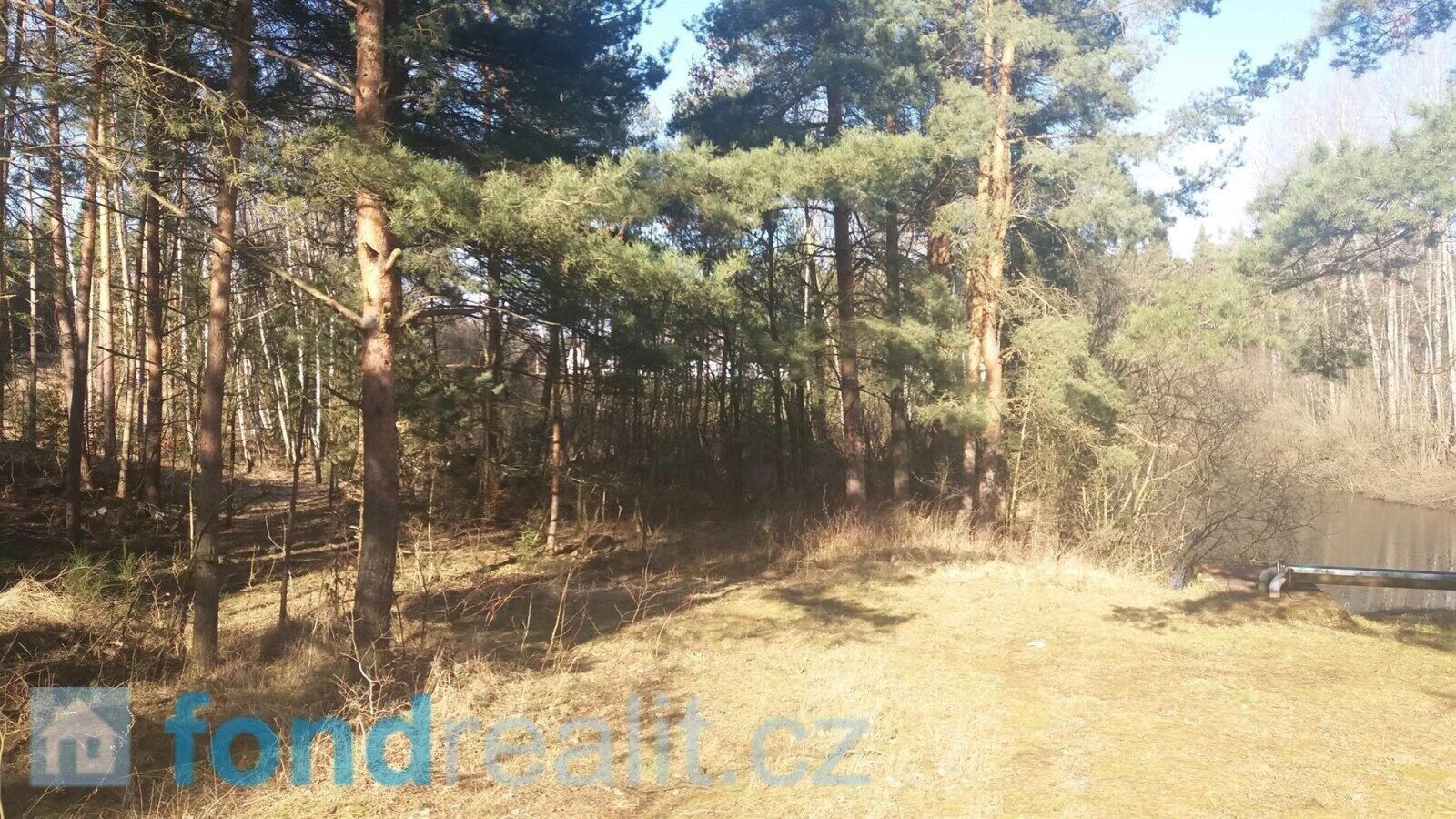 Ostatní, Nová Ves nad Lužnicí, 10 m²