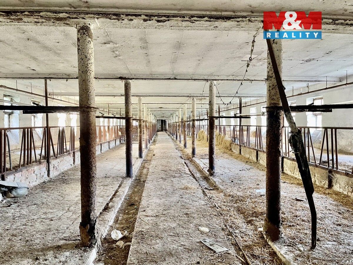 Prodej ostatní - Zásmuky, 281 44