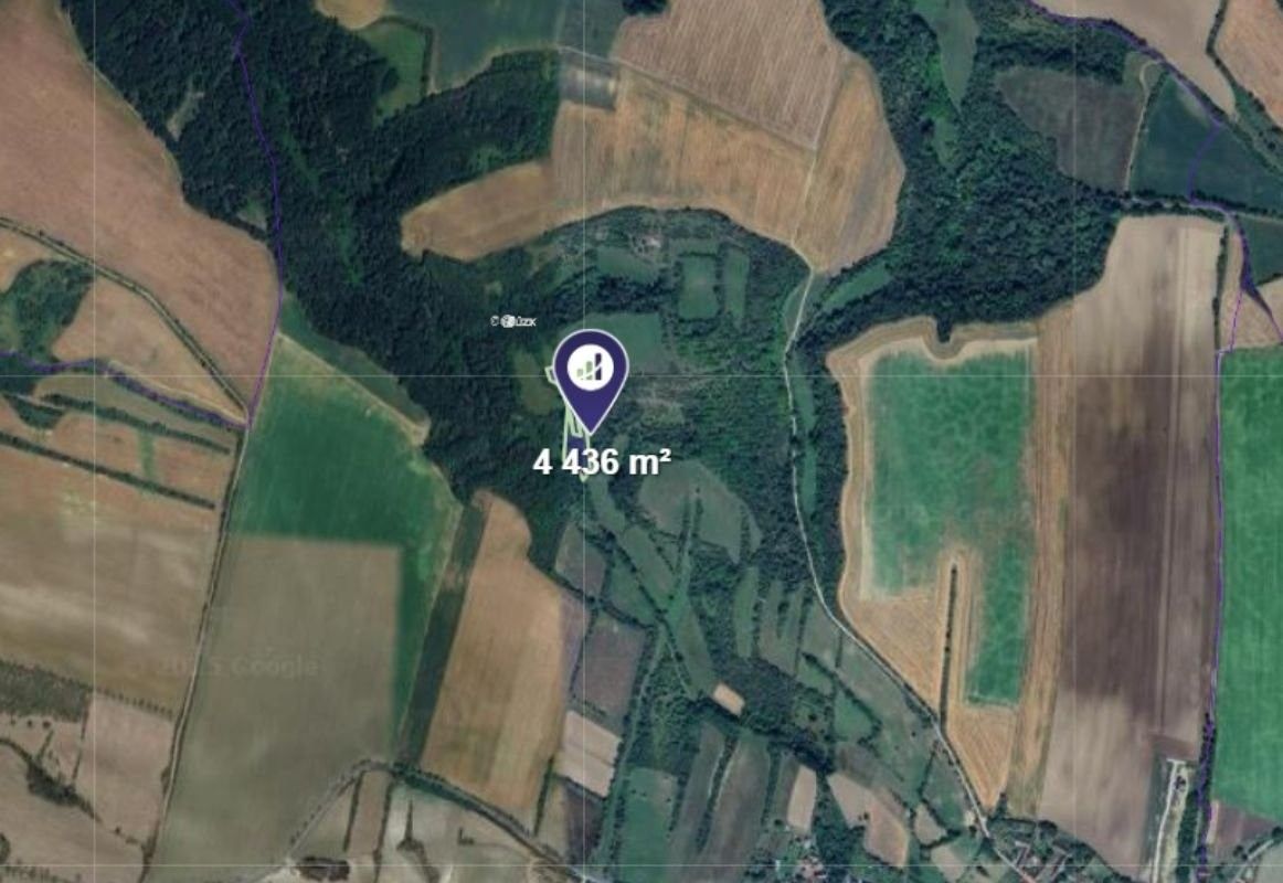 Prodej les - Vysoká, 4 436 m²