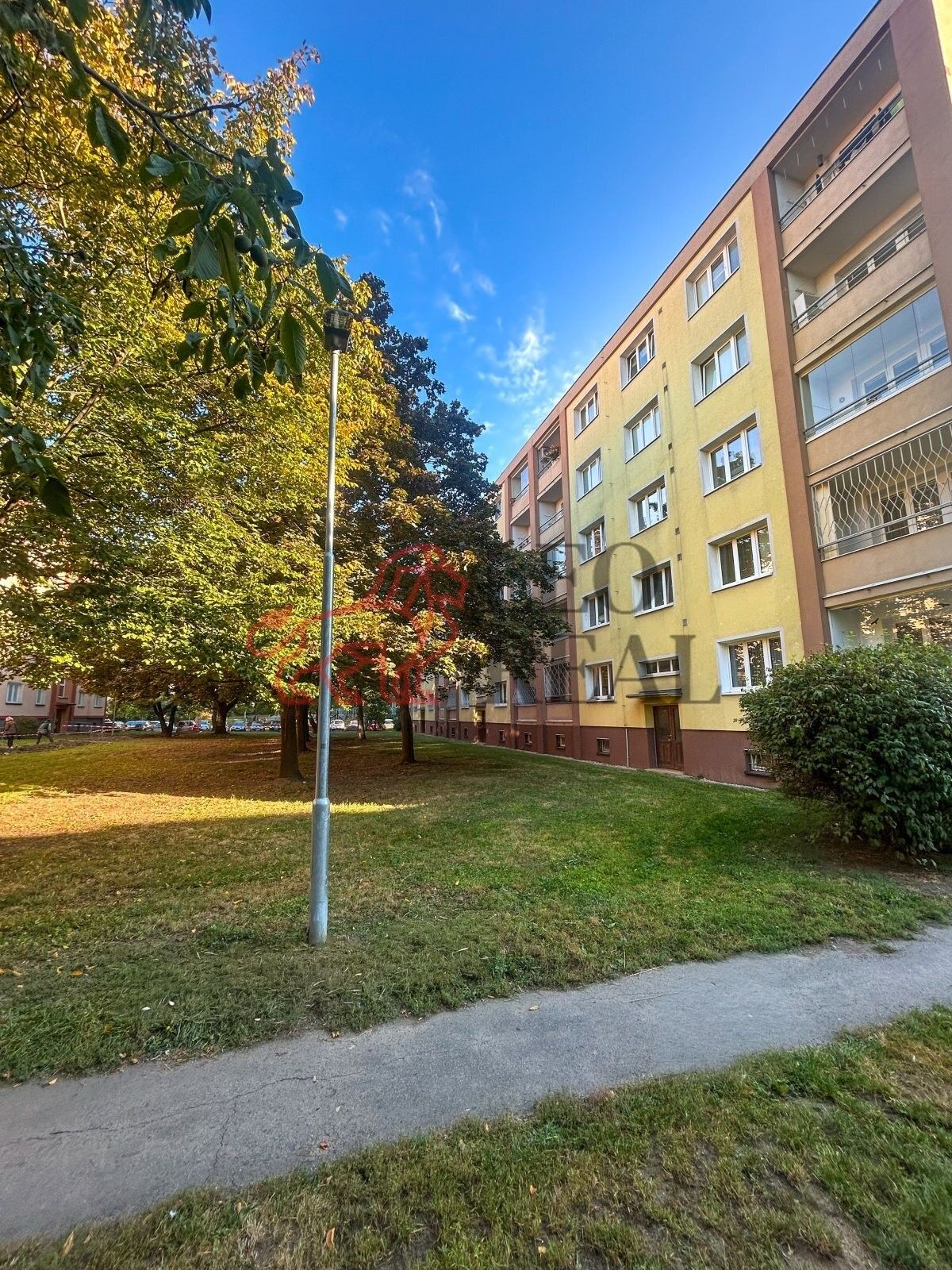 Byt 1+1, 36 m²