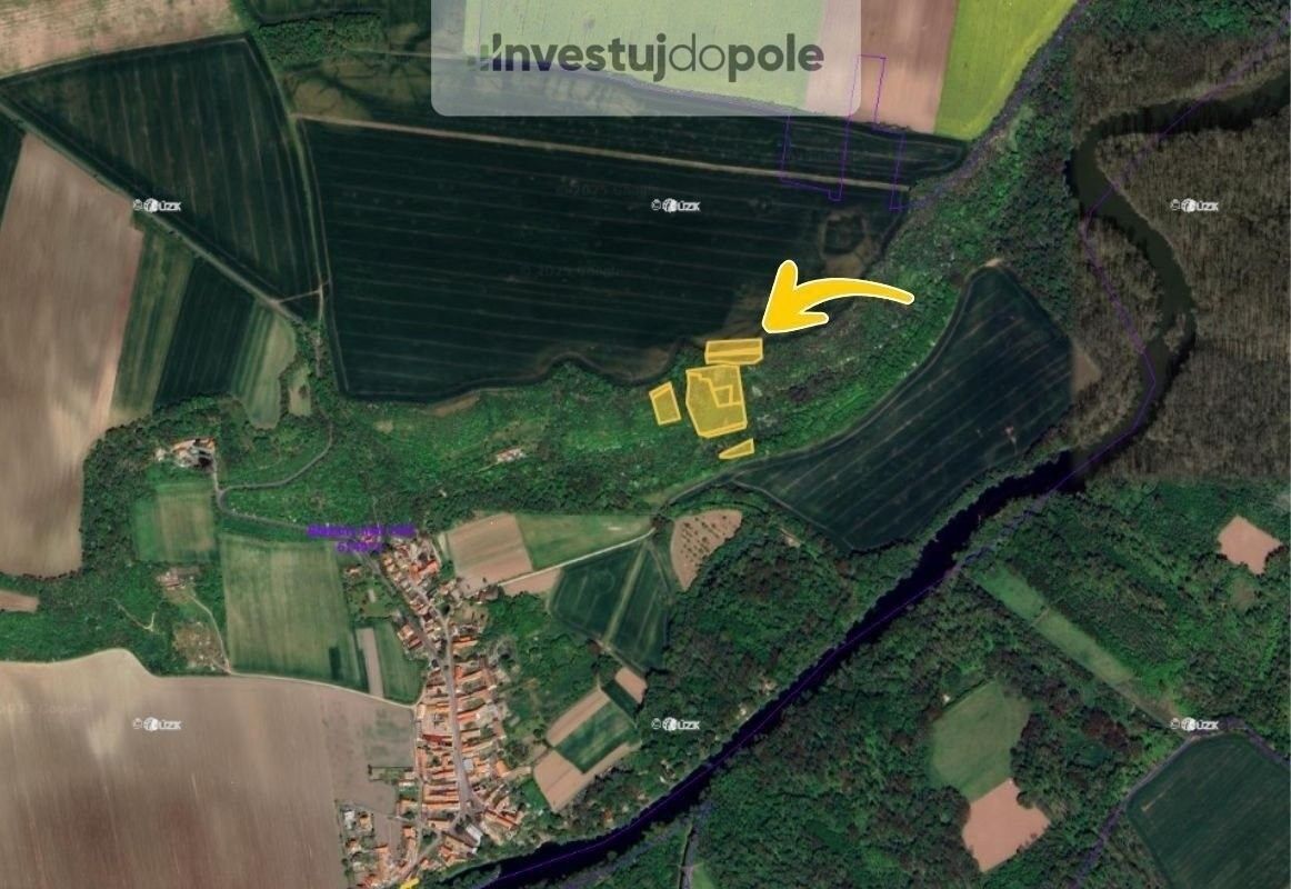 Prodej les - Budyně nad Ohří, 3 124 m²