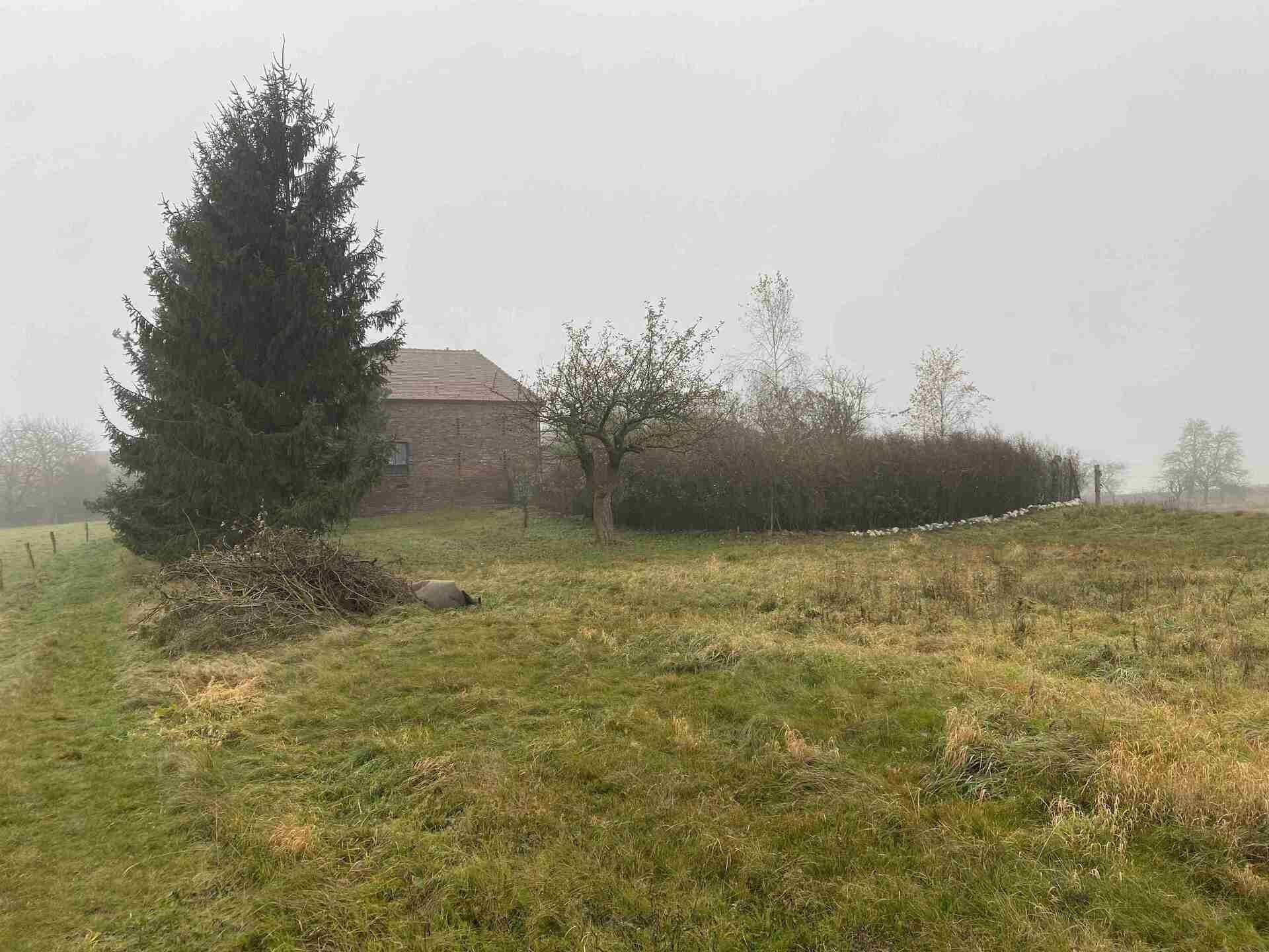 Prodej pozemek - Černousy, 566 m² - 5