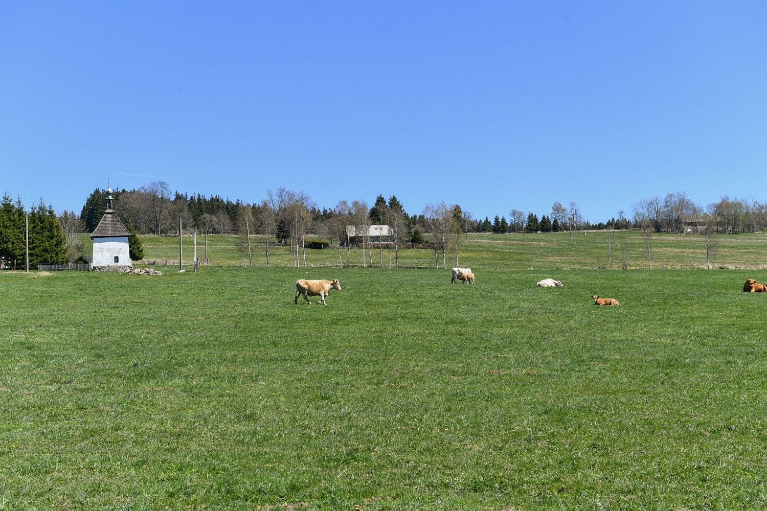 Rodinný dům · 310 m² · Nové Hutě, okres Prachatice, Jihočeský kraj - 4