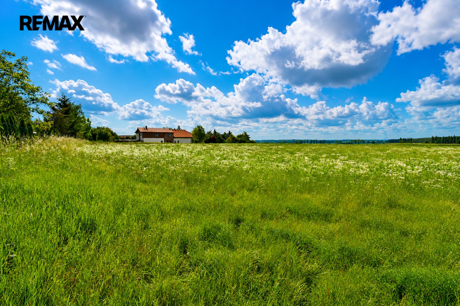 Pozemek pro bydlení · 4 580 m² · Nový Bydžov - 3
