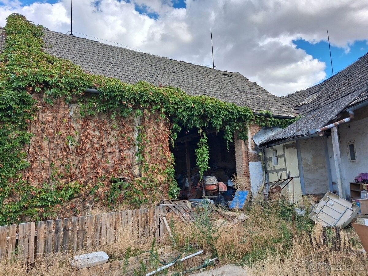 Prodej rodinný dům - Tavíkovice, 671 40 - 5