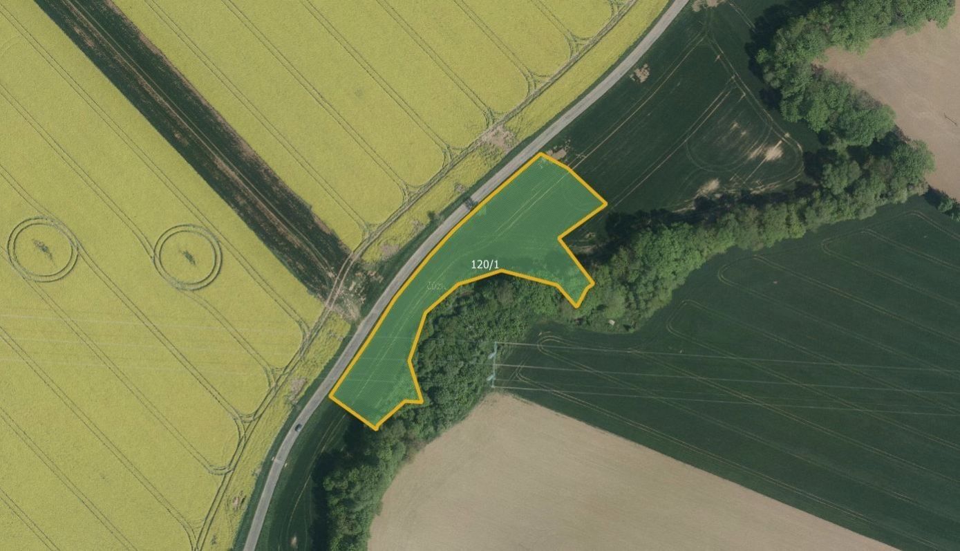 Zemědělské pozemky, Bylany