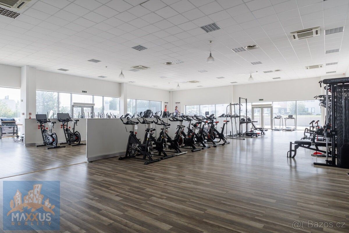 Obchodní prostory, Babice, 251 01