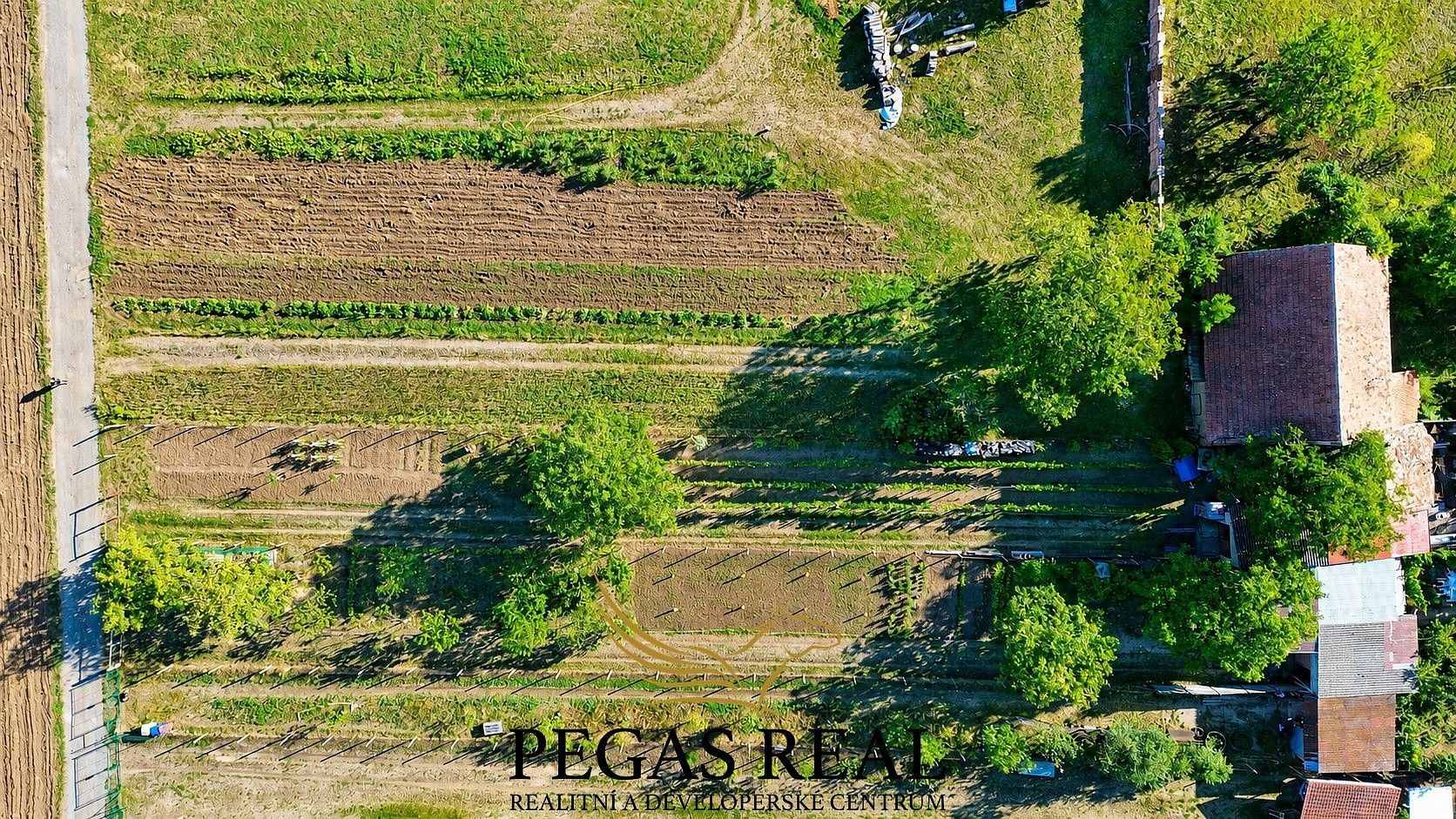Pozemek pro bydlení · Přísnotice, okres Brno-venkov, Jihomoravský kraj - 4